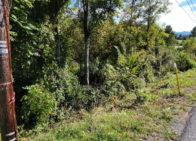 Property at Bk 5 Lot 7 Pathfinder Dr, Lexington, VA 24450