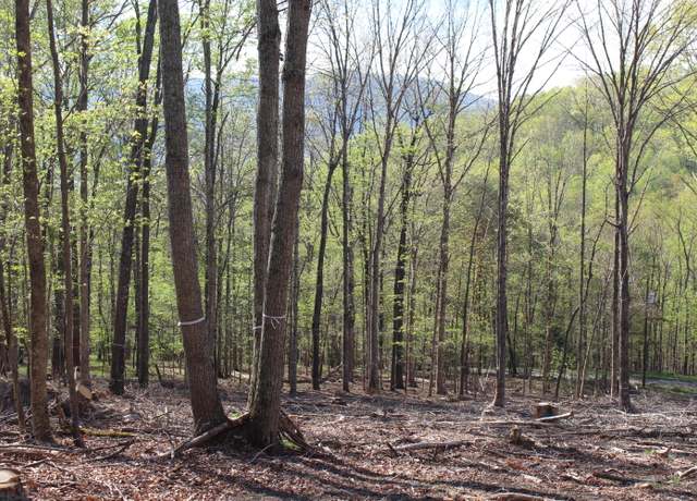 Property at 16.78 Tbd Clan Alpine Way, Glasgow, VA 24555