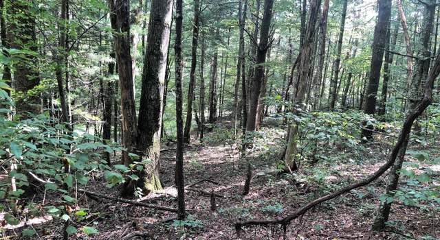 Photo of TBD Edsel Hollow Trl, Vesuvius, VA 24483
