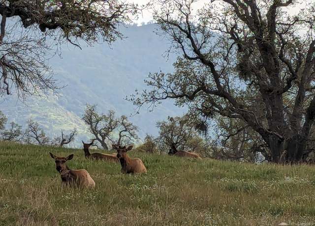 Property at 26601 Chester Ct, Tehachapi, CA 93561