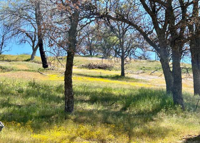 Property at 0 Piute Meadows Rd, Caliente, CA 93518