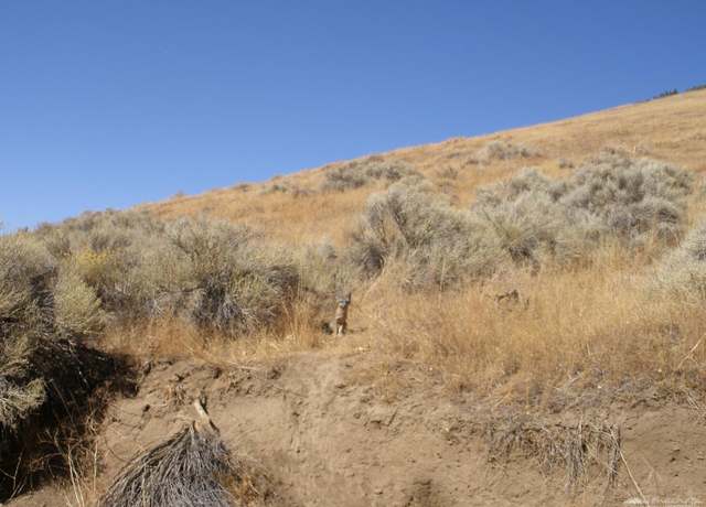 Property at 23001 Matterhorn Pl, Tehachapi, CA 93561
