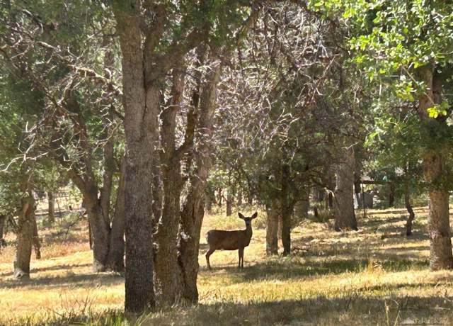 Property at 19777 Country Oaks St, Tehachapi, CA 83561