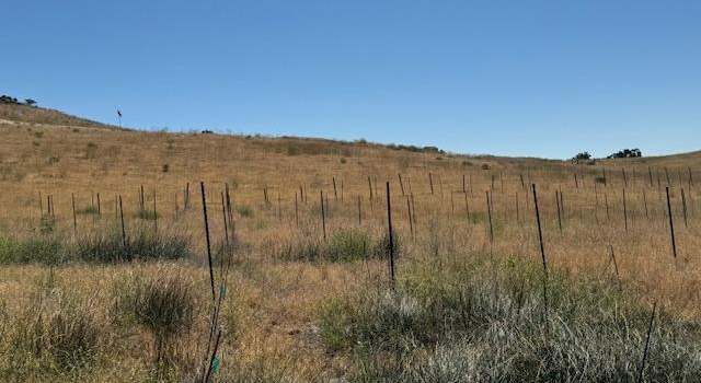 Photo of 0 Highway 202 Lot 3, Tehachapi, CA 93561