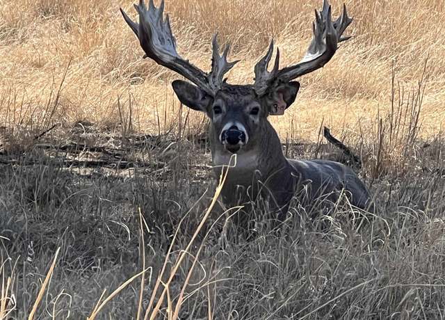 Property at 0 RD B, Jennings, KS 67643