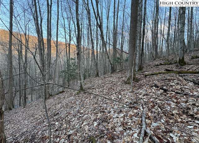 Property at Lot 3 Buckeye Ridge Rd, Beech Mountain, NC 28604