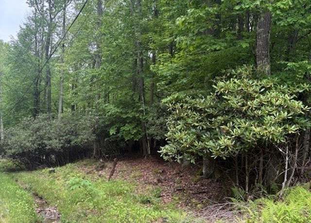 Property at 522 Saint Andrews Rd, Beech Mountain, NC 28604