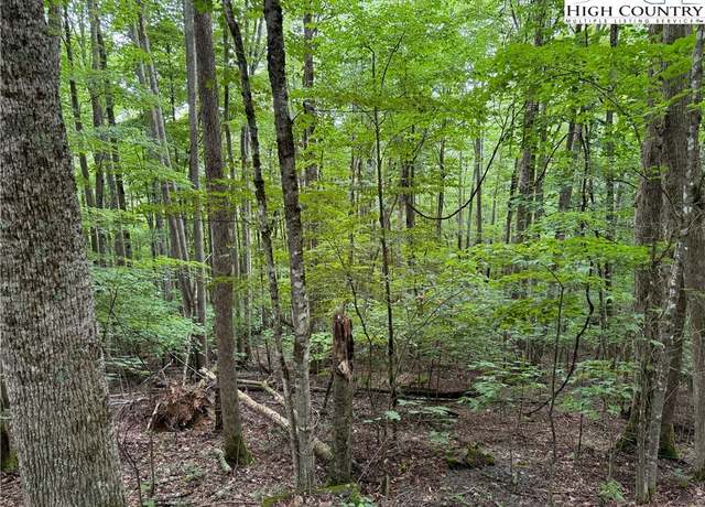 Property at 119 Raccoon Rd, Beech Mountain, NC 28604