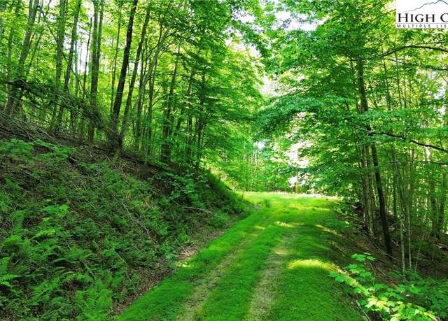 Property at Lot 13 Larkspur Rd, Beech Mountain, NC 28622