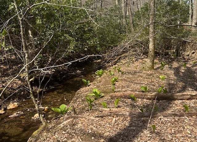 Property at TBD Bald Mountain Rd, West Jefferson, NC 28694