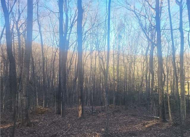 Property at TBD Bluff Ridge Rd, West Jefferson, NC 28694