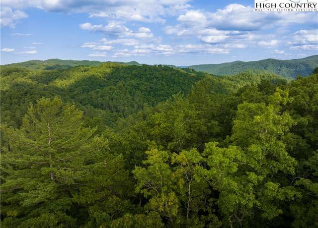 Property at 33 Inkberry Dr, Ferguson, NC 28724
