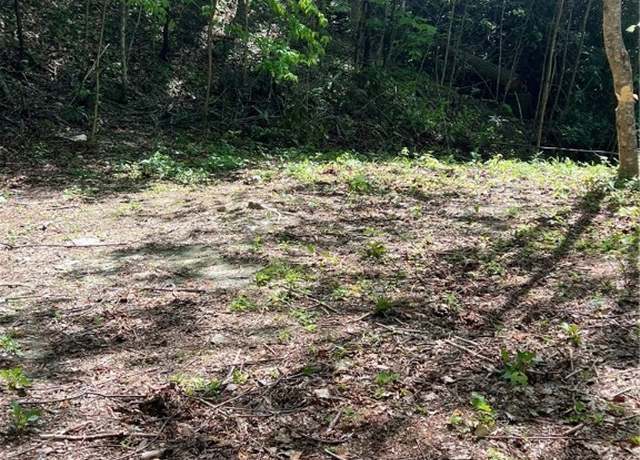 Property at TBD Old Chestnut Rd, Banner Elk, NC 28604