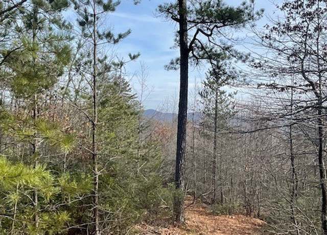 Property at 82 Gold Run Ln, Ferguson, NC 28624