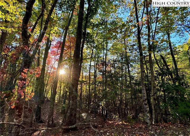 Property at TBD Roaring Ridge/trout Lake Rd, Deep Gap, NC 28618