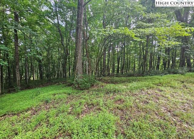 Property at TBD Fortner Dr, Sparta, NC 28675