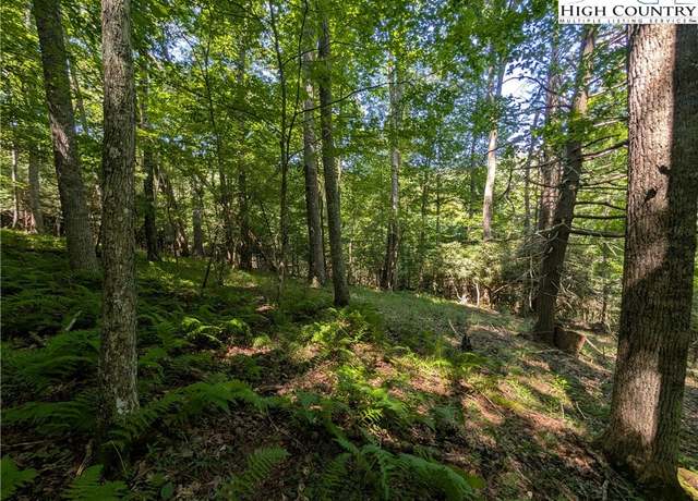 Property at TBD Sharon Sweeney Rd, Crumpler, NC 28617