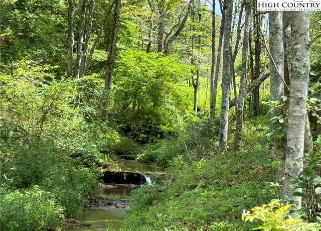 Property at TBD Albert Phipps Rd, Crumpler, NC 28617