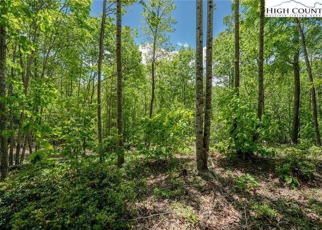 Property at 0 Beaver Dam Rd, Elk Park, NC 28622