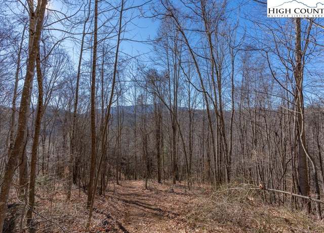 Property at 3000 Elk River Rd, Elk Park, NC 28622