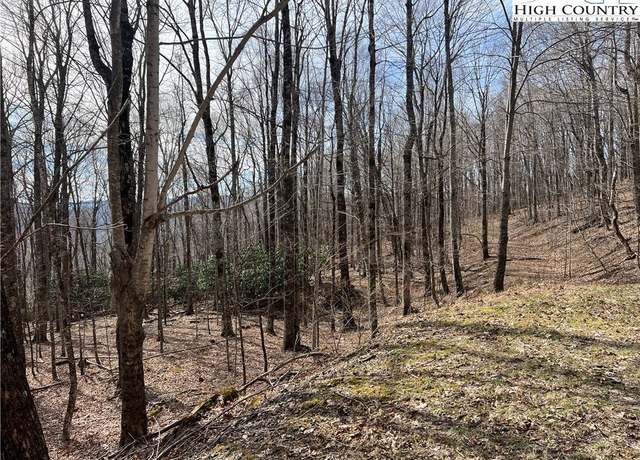 Property at unk Maple Branch Rd, West Jefferson, NC 28694