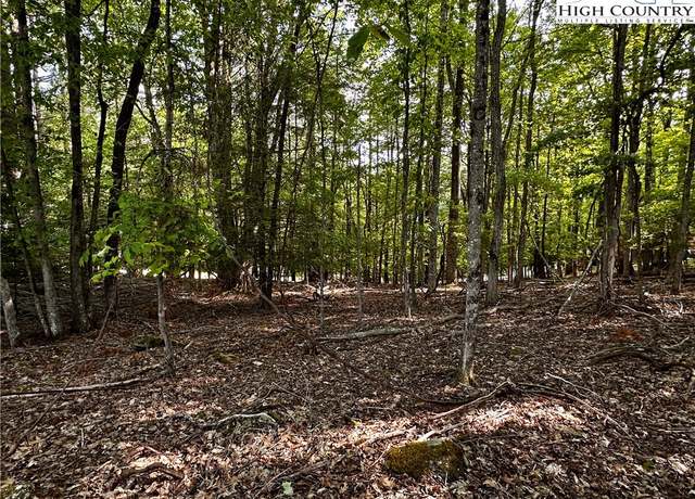 Property at 805 Pine Ridge Rd, Beech Mountain, NC 28904