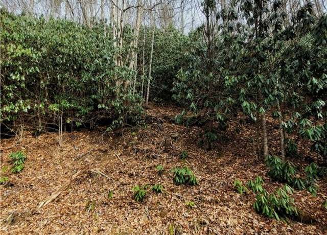 Property at 118 Deergrass Rd, Beech Mountain, NC 28604