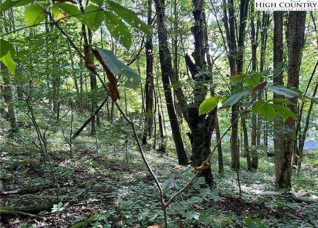 Property at TBD/Lot 27 Jewelweed Trl, Newland, NC 28657