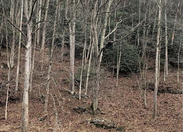 Property at 13&14 Rio Grande Off Aubrey Turner Rd, Crumpler, NC 28617
