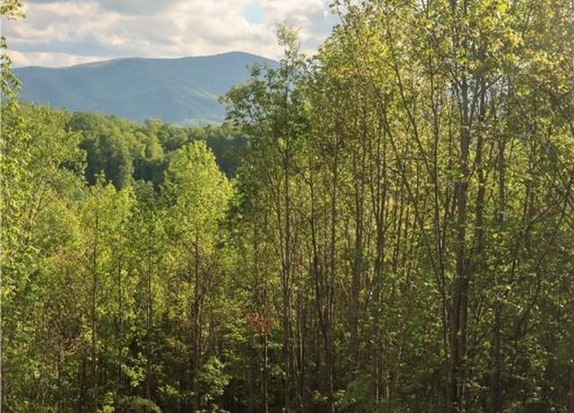 Property at Lot 25 TBD Lake View Dr, Elk Park, NC 28622