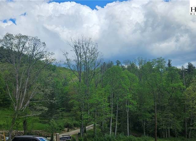 Property at 0 Clear Creek Dr, Newland, NC 28657