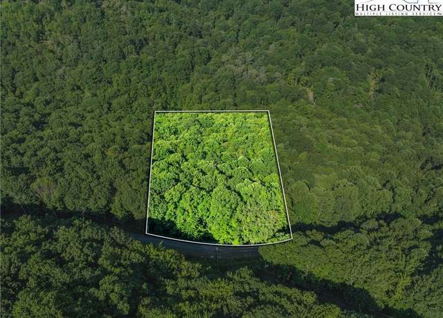 Property at 303 Locust Ridge Rd, Beech Mountain, NC 28604