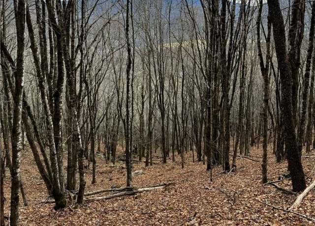 Property at Lot 18 Wakeman Way, Banner Elk, NC 28604