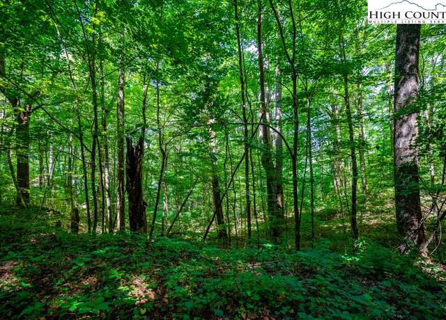 Property at Lot 28 & 29 Marta Ln, Zionville, NC 28698