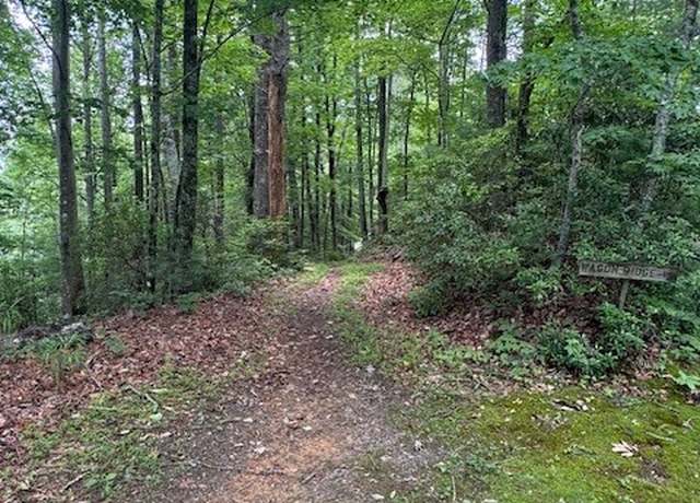 Property at 11 Wagon Ridge Rd, Ferguson, NC 28624