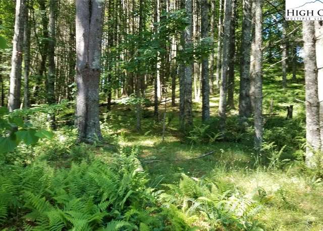 Property at Lot 16 Woodland Dr #16, Piney Creek, NC 28663