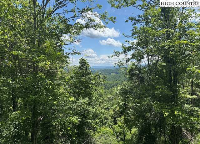 Property at TBD- lot 1 Mayito Ln, Mouth Of Wilson, VA 24363