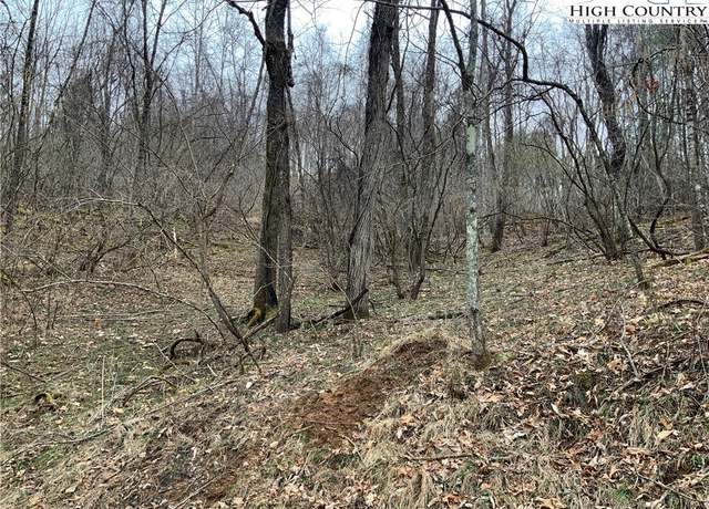 Property at Lot 67 N Hidden Mountain Ln, Crumpler, NC 28617