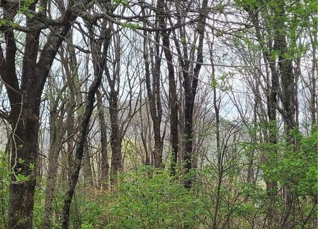 Property at TBD Buena Vista Dr, West Jefferson, NC 28694