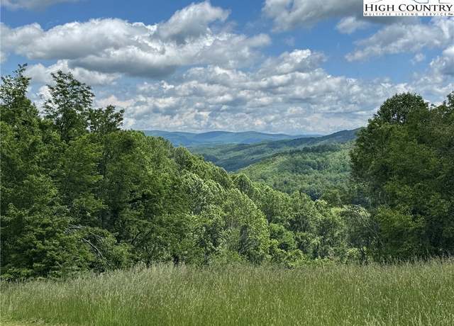 Property at TBD lot 3 Mayito Ln, Mouth Of Wilson, VA 24363