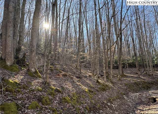 Property at Lot 2 Buckeye Ridge Rd, Beech Mountain, NC 28604