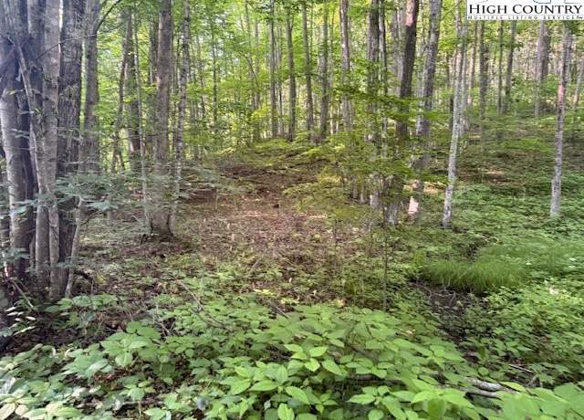 Property at Lot 56 Beechwood Cir, Creston, NC 28615