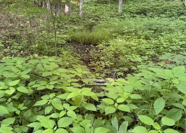 Property at Lot 57 Beechwood Cir, Creston, NC 28615