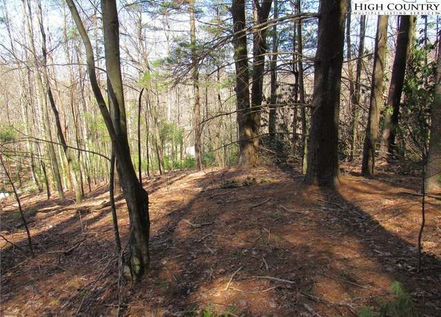Property at Lot 6 Green Mountain Rd, Sparta, NC 28675
