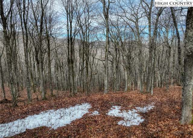 Property at Lot 97 Elk Creek Mtn Prkwy, Todd, NC 28684