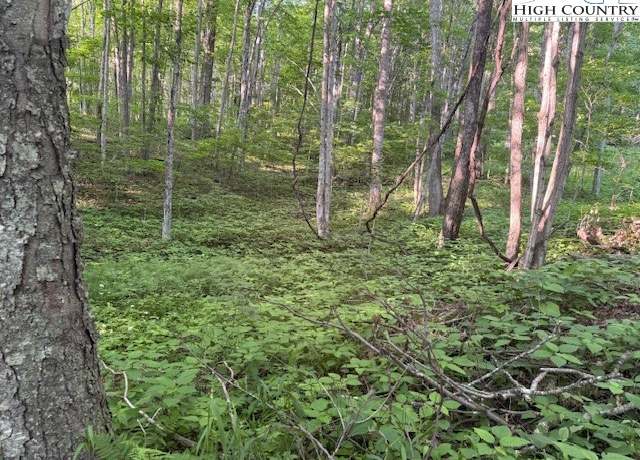 Property at Lot 58 Beechwood Cir, Creston, NC 28615