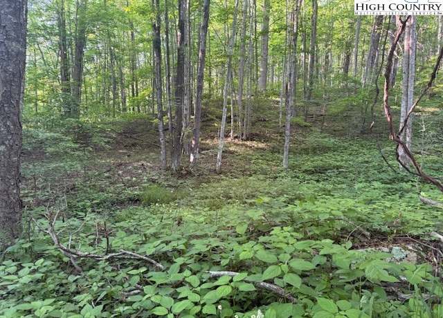 Property at Lot 59 Beechwood Cir, Creston, NC 28615
