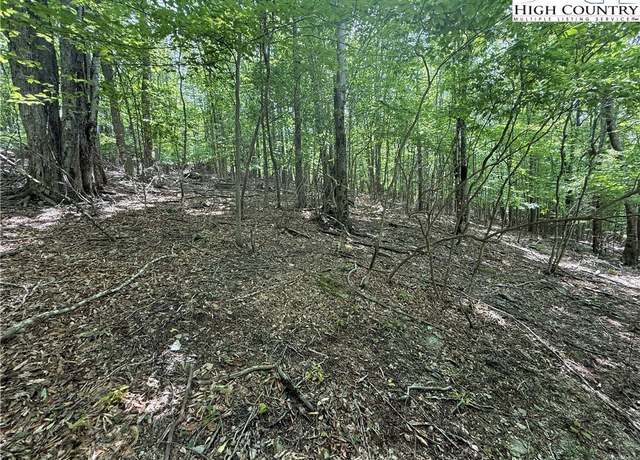 Property at 105/107 Aster Trl, Beech Mountain, NC 28604