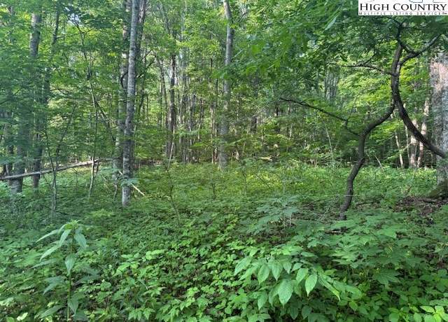 Property at Lot 10 Billy Bob Ln, Creston, NC 28615