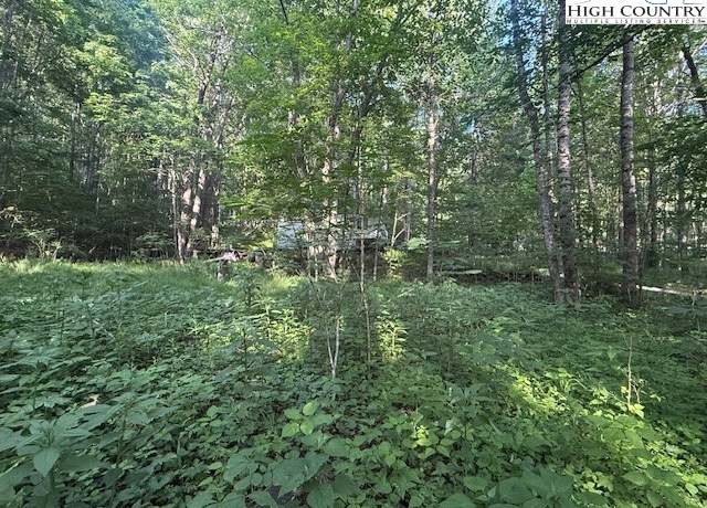 Property at Lot 11 Billy Bob Ln, Creston, NC 28615
